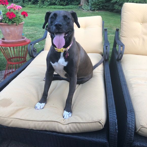 Please Share Closet 🙏 Posher needs help ❤️ - Picture 11 of 11